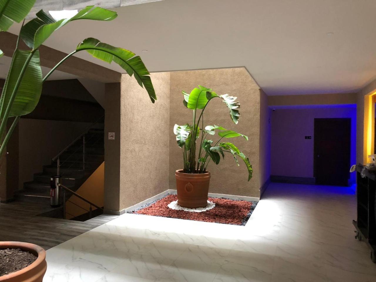 Hotel Plaza Arteaga モンテレー エクステリア 写真